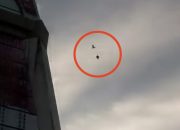 2 ekor burung merpati terbang diatas puluhan ribu perempuan peserta jalan sehat WLMM