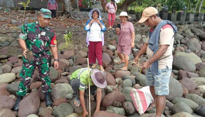 Pemdes Boyongpante Gelar Penanaman Mangrove untuk Jaga Kelestarian Lingkungan