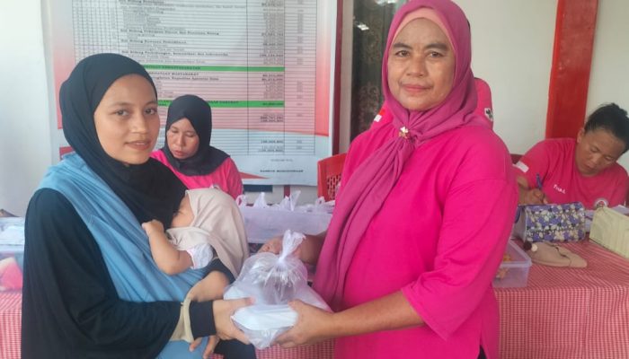 Pemdes Sapa Timur Rutin Laksanakan Pelayanan Posyandu Balita dan Lansia