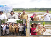 Lakukan gerakan tanam padi di Kakas, Wabup Vasung apreseasi Kementerian Pertanian